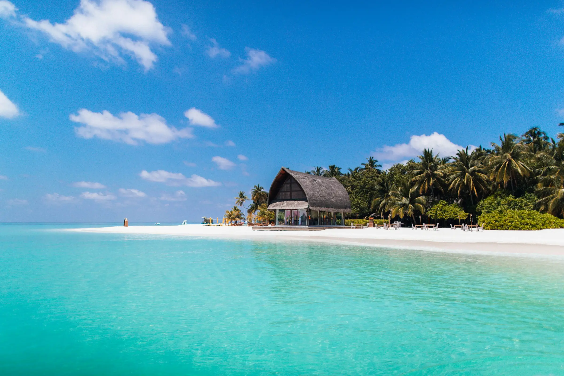 Tropical Paradise
