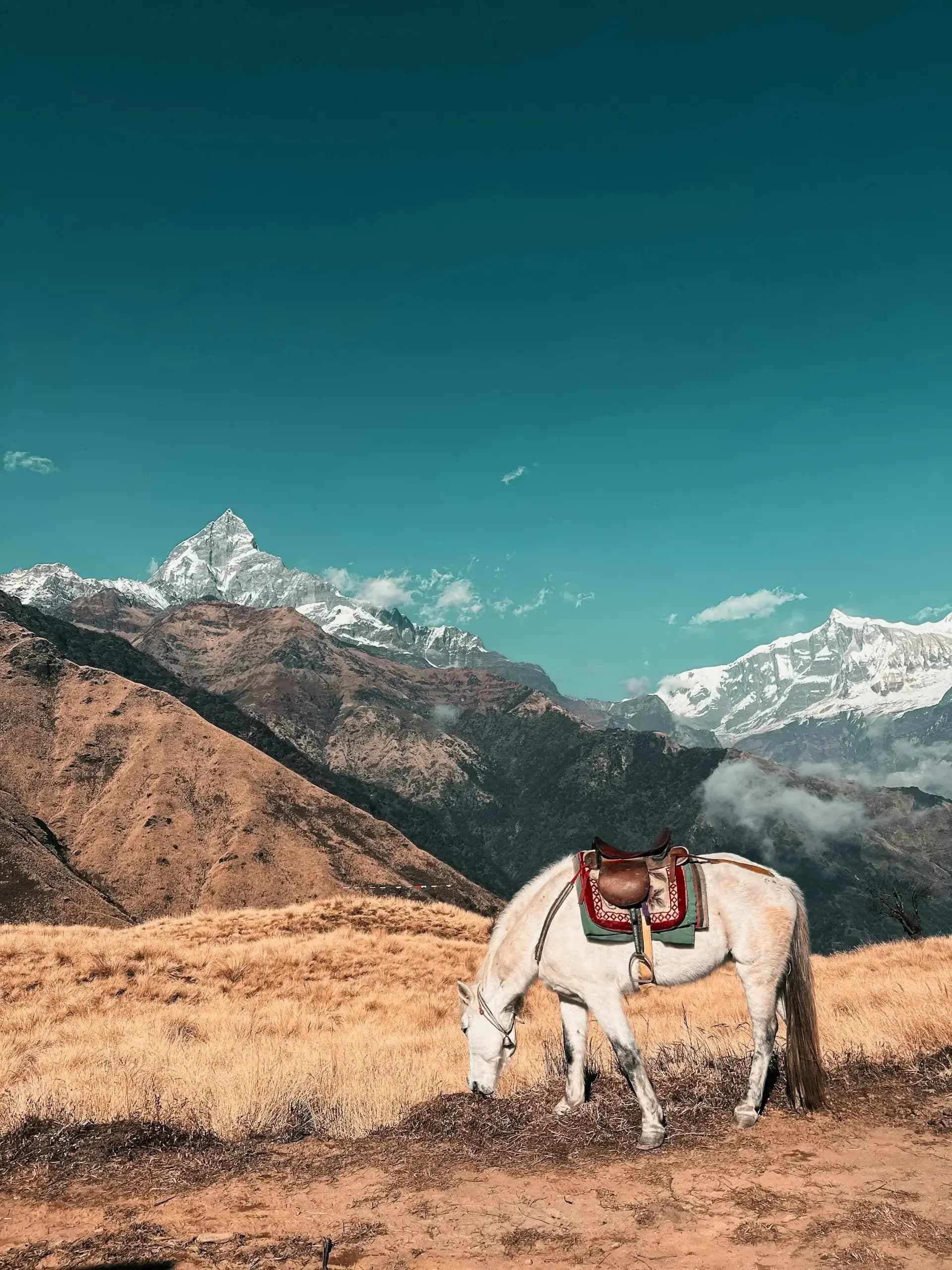 India At a Glance