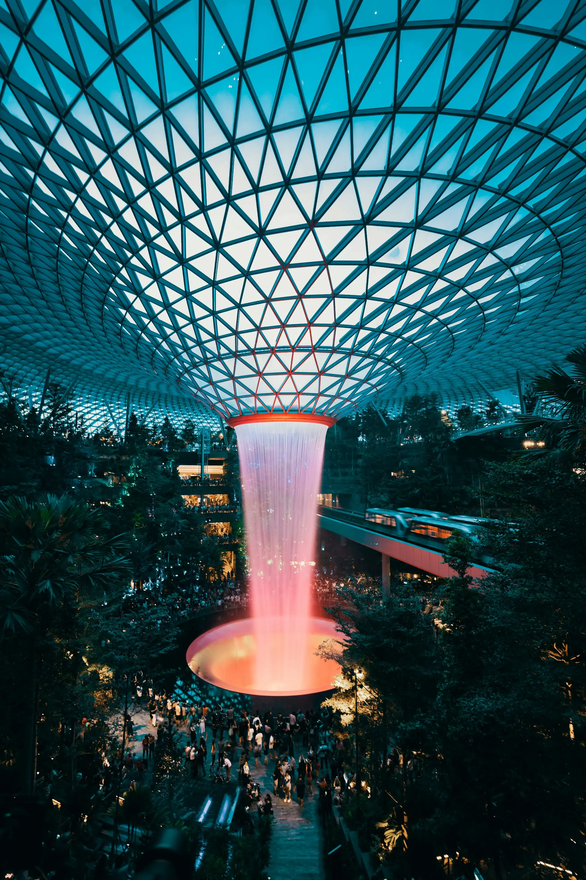 Gardens by the Bay + Marina Bay Night Views